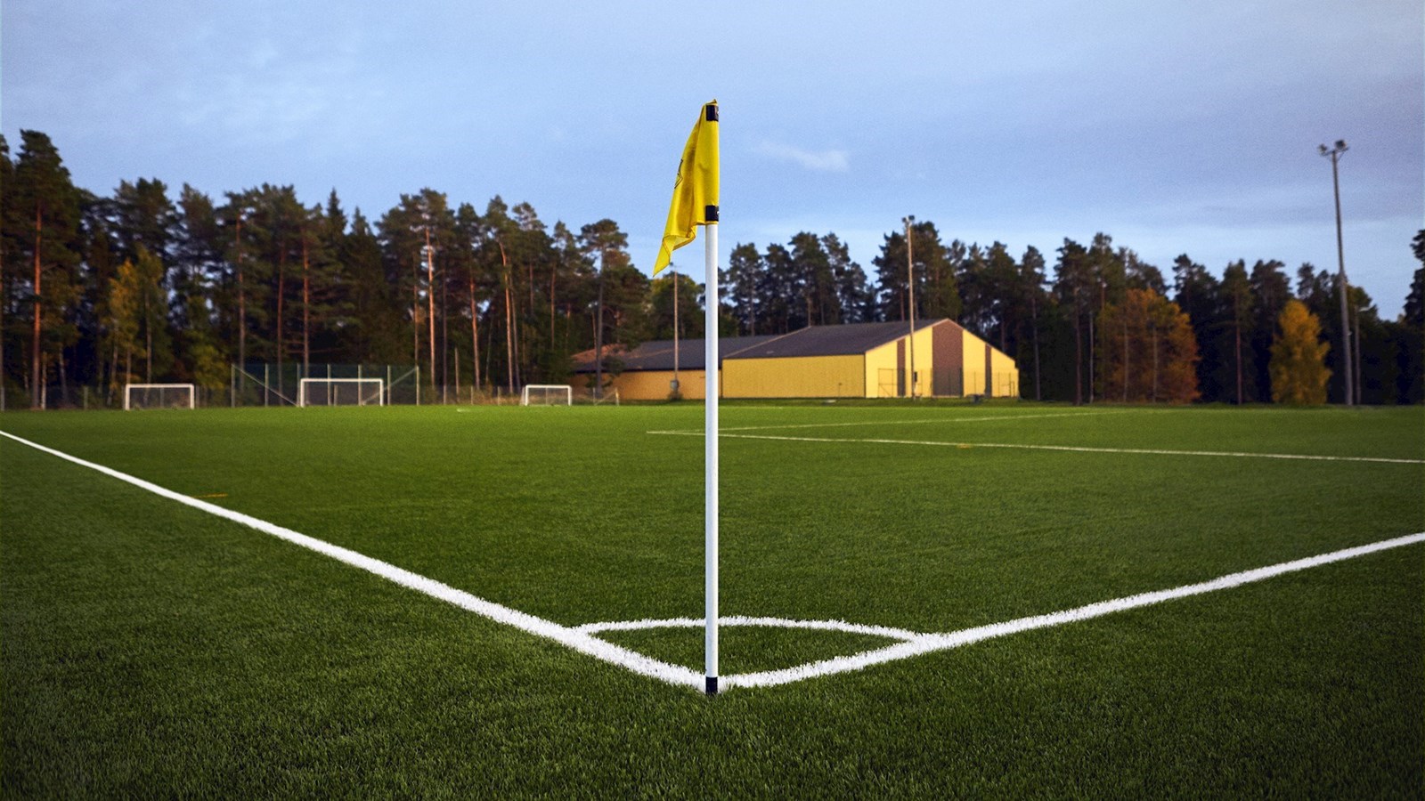 Danske fodboldagenters honorarer for 2019