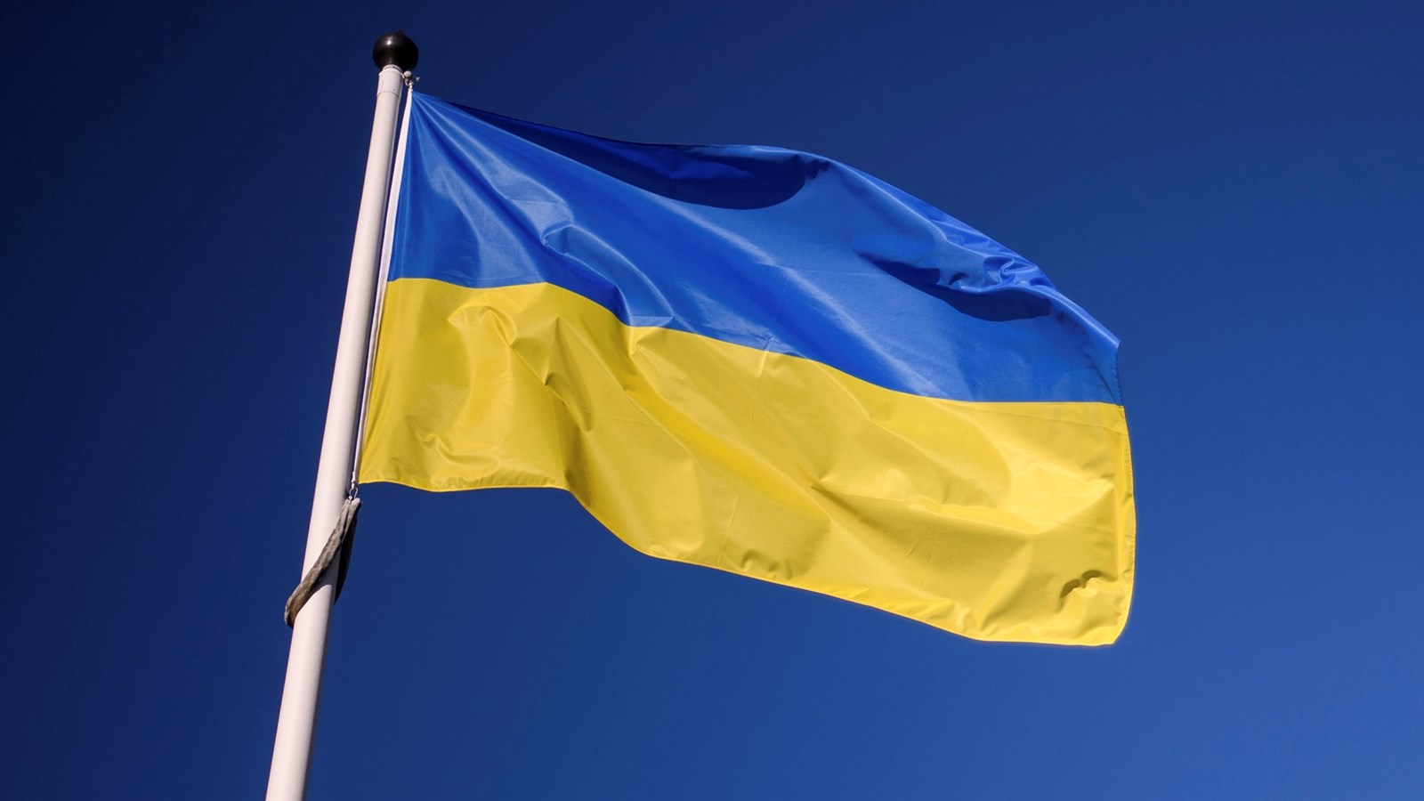 Fodboldens verden står sammen med Ukraine
